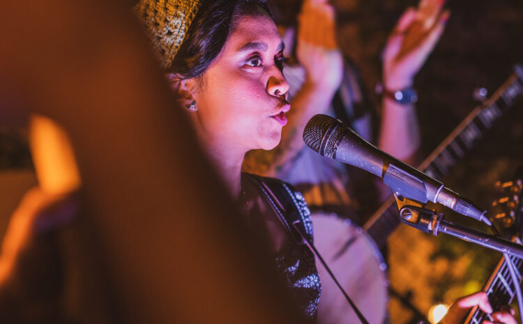  Incubator’s Revenue Model